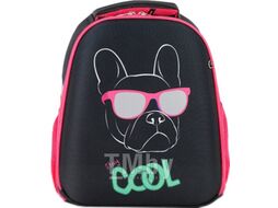 Школьный рюкзак Ecotope Kids Бульдог 057-540-120-CLR (черный)