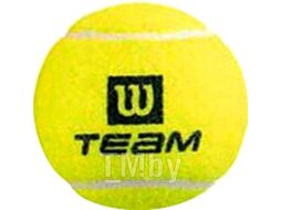 Набор теннисных мячей Wilson TeamW Practice / WRT111900 (4шт)