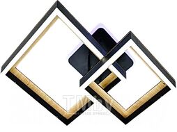 Потолочный светильник Aitin-Pro H9445/2C
