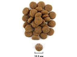 Полувлажный корм для собак Chicopee CNL Soft Adult Salmon & Rice (15кг)