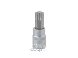 Головка 3/8 со вставкой TORX T55, L=48 мм на холдере Arnezi R0204455