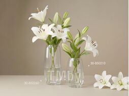 Ваза для цветов, стеклянная, 20х10 см., серия Beloved, PERFECTO LINEA 30-850210