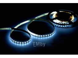 Светодиодная лента Byled Standart BLS2835-120-12-9.6-CW (ультра холодный белый)