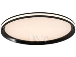 Потолочный светильник LED4U L3020-400 BK