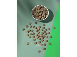 Корм для грызунов Mikimeals Complex Для крыс и мышей (500г)