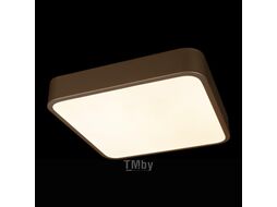 Потолочный светильник Loftit Flims 10228/C