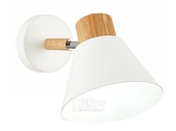 Спот Evoluce Buve SLE103701-01
