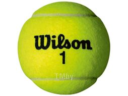Набор теннисных мячей Wilson Championship / WRT110000 (4шт)