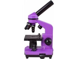 Микроскоп оптический Levenhuk Rainbow 2L / 69036 (Amethyst)