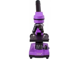 Микроскоп оптический Levenhuk Rainbow 2L / 69036 (Amethyst)