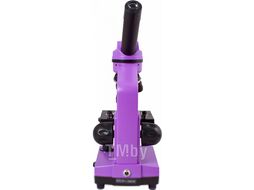 Микроскоп оптический Levenhuk Rainbow 2L / 69036 (Amethyst)