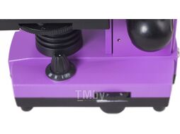 Микроскоп оптический Levenhuk Rainbow 2L / 69036 (Amethyst)