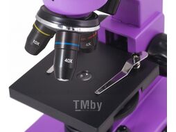 Микроскоп оптический Levenhuk Rainbow 2L / 69036 (Amethyst)