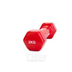 Гантель Bradex SF 0161 2 кг (красный)