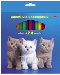 Набор цветных карандашей Hatber Любимцы / Кс24_22 (24цв)