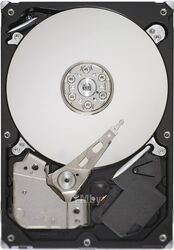 Жесткий диск Seagate Barracuda 7200.12 250GB (ST3250312AS)