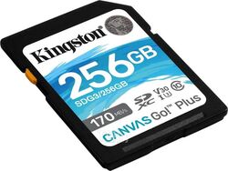 Память (flash-карты) KINGSTON SDG3/256GB