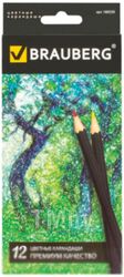 Набор цветных карандашей Brauberg Artist Line / 180539 (12цв)