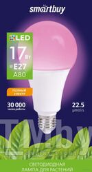 Лампа светодиодная (LED) ФИТО Smartbuy-A80-17W/E27