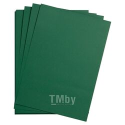 Бумага цветная "Maya" А4 120г/м2, зеленый Clairefontaine 97379C