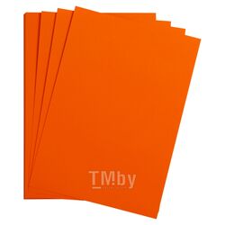 Бумага цветная "Maya" А4 120г/м2, оранжевый Clairefontaine 97355C