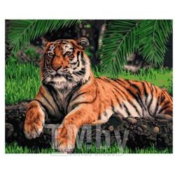 Набор для рисования по номерам, картина 41х50 см "Грациозный тигр" (основа на карт, краски, кисть) LORI Кпн-231