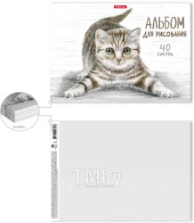 Альбом для рисования Erich Krause Tabby / 49844