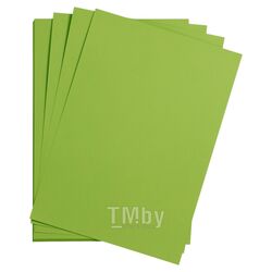 Бумага цветная "Maya" А4 120г/м2, св.-зеленый Clairefontaine 97352C