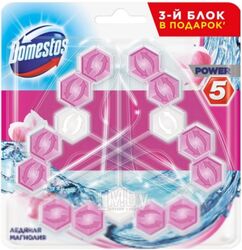 Чистящее средство для унитаза Domestos Ледяная магнолия Трио (3x55г)
