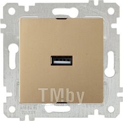 Розетка 1-ая USB (скрытая, без рамки) золото, RITA, MUTLUSAN (16 A, 250 V, IP 20)