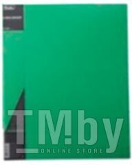 Папка для бумаг Hatber Standart / 2AB4-00107 (зеленый)
