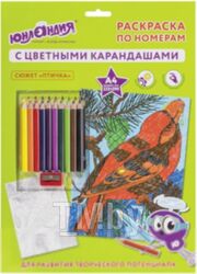 Раскраска Юнландия Птичка с цветными карандашами / 661607