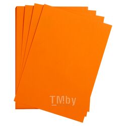Бумага цветная "Maya" А4 120г/м2, св.-оранжевый Clairefontaine 97366C