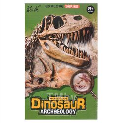 Раскопки "Dinosaur". Игрушка Darvish SR-T-3048