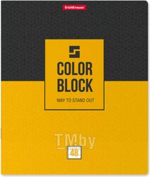 Тетрадь Erich Krause Color Block / 49645 (96л, клетка)
