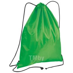 Мешок-рюкзак для обуви "Leopoldsburg" полиэстер, зеленый Easy Gifts 851509