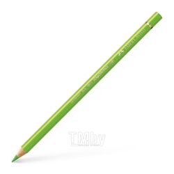 Цветной карандаш Faber Castell Polychromos 171 / 110171 (светло-зеленый)