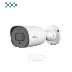 IP камера ZKTeco BL-852T48S