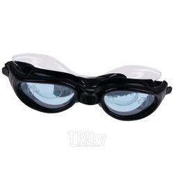 Очки для плавания Intex Pro Master / 55692 (черный/голубой)