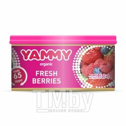 Ароматизатор с растит. наполнителем YAMMY Органик, баночка, аромат "Fresh Berries" 42 гр, Корея D019