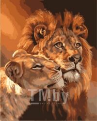 Картина по номерам Sundays Art Лев и львица