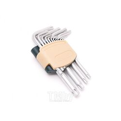 Набор ключей TORX Г-образных, 15пр. (Т6, T7, T8, T9, Т10, Т15, Т20, Т25, Т27, Т30, Т40, Т45, Т50, Т55, Т60) в пластиковом держателе Rock FORCE RF-5151
