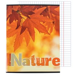 Тетрадь 96л кл. "Nature" обложка ВД-лак Academy Style 8787/5