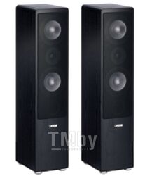 Акустическая система Canton Ergo 670 DC (black speakers)
