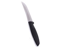 Нож металлический для фруктов/овощей "Plenus" с пластмассовой ручкой 18,5/7,5 см (арт. 23431805)
