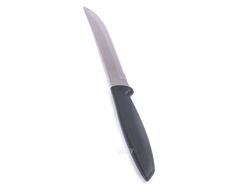 Нож металлический для фруктов/овощей "Plenus" с пластмассовой ручкой 22/11 см (арт. 23431865)