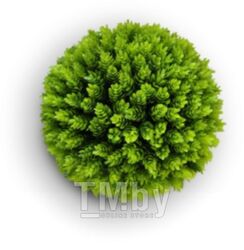 Искусственное растение ForGarden Самшит Fir Grass Ball Dia / FGN BF01023