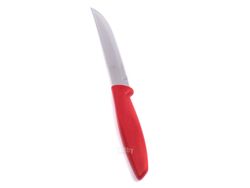 Нож металлический для фруктов/овощей "Plenus" с пластмассовой ручкой 22/11 см (арт. 23431875)