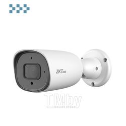 IP камера ZKTeco BS-854N22C