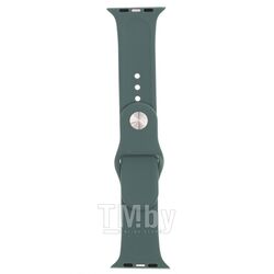 Ремешок Evolution Sport AW44-S01 для Apple Watch 42/44 мм (pine needle green)